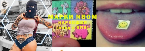 тгк Семёнов
